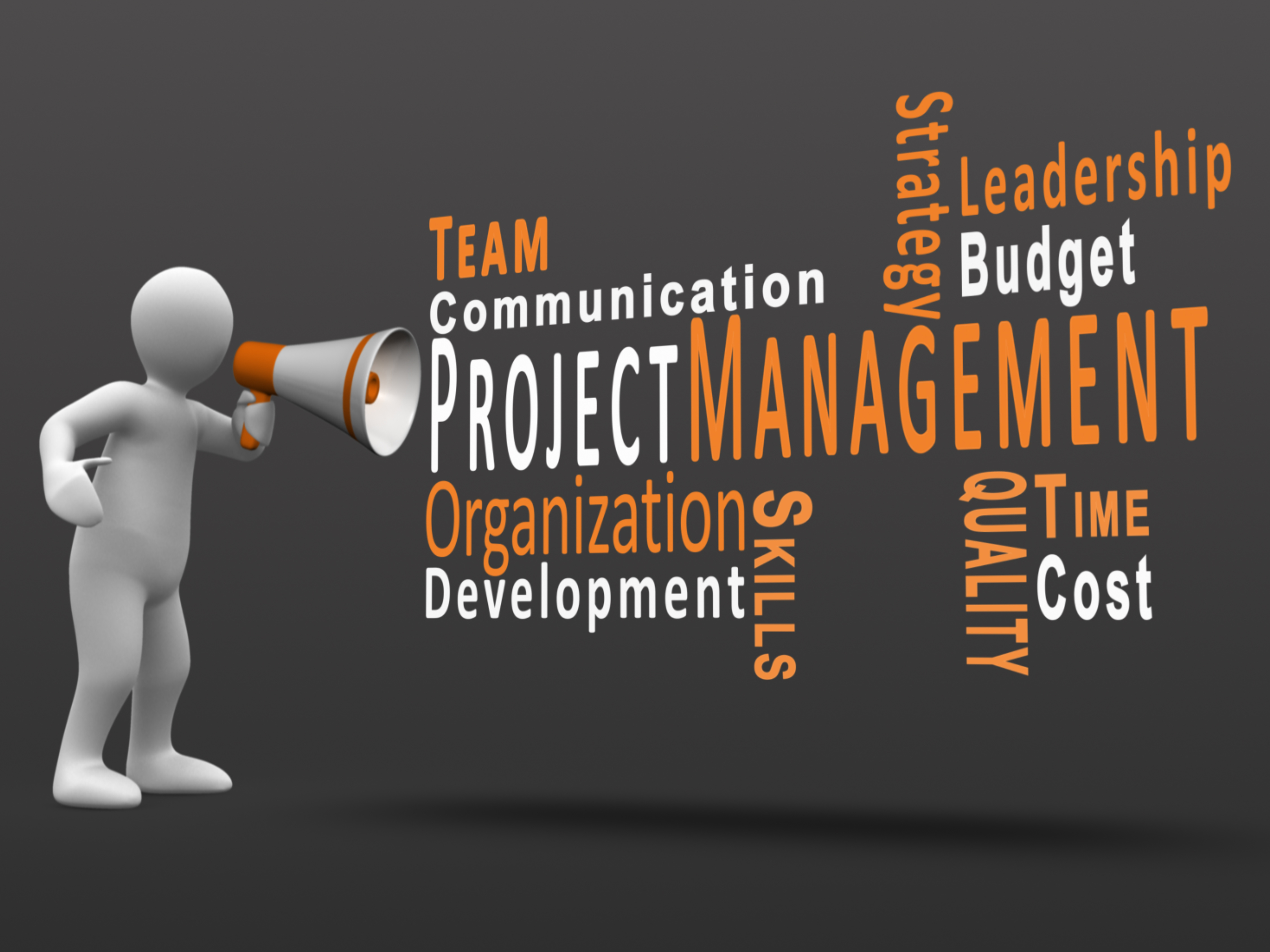 Aspects of Project Management